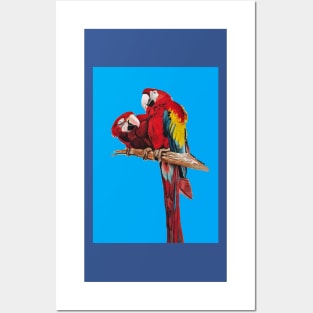 Red Macaw Parrot Watercolor Painting on Blue Posters and Art